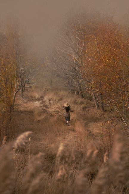 A woman in a sunhat walks through a serene autumn landscape surrounded by trees.