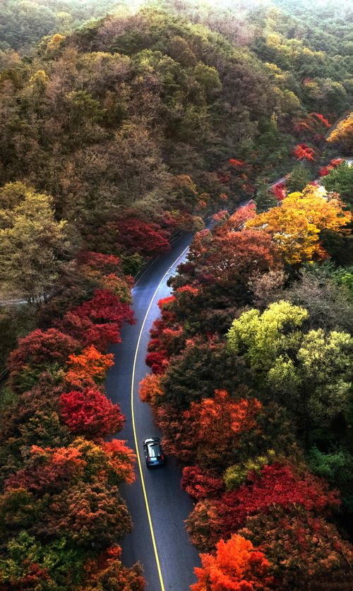 Free Drone shot of a car on a winding road through vibrant autumn foliage. Stock Photo
