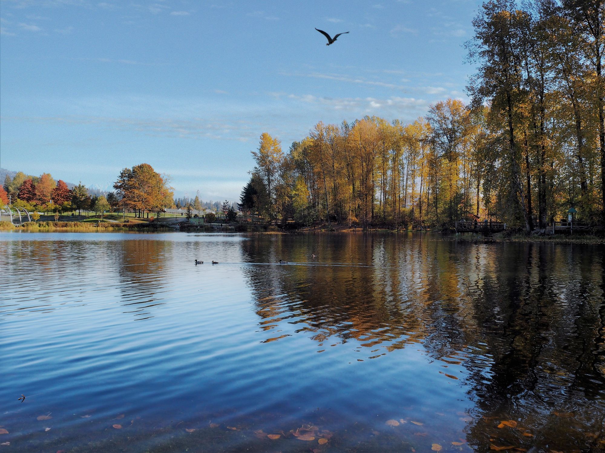 Coquitlam