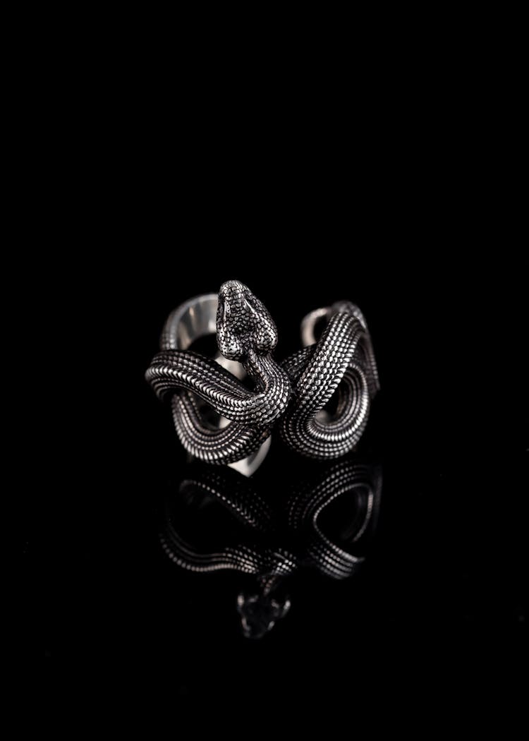 Monochrome Shot Of A Snake Ring