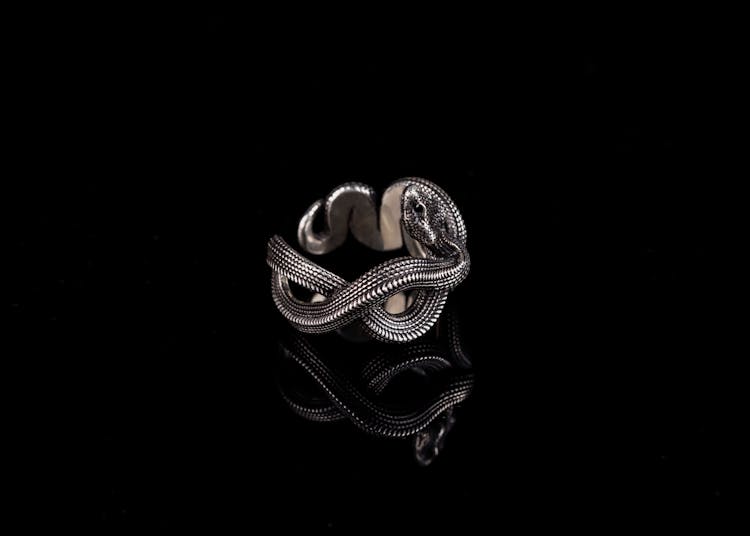 Silver Snake Ring On Black Background