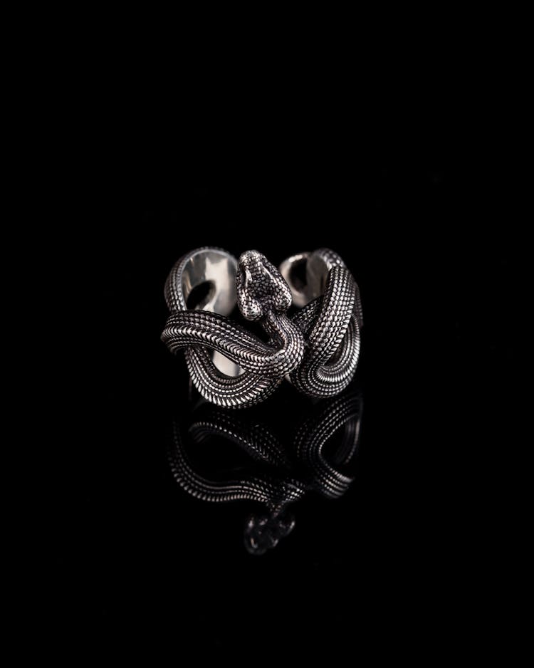 Snake Ring On A Black Surface