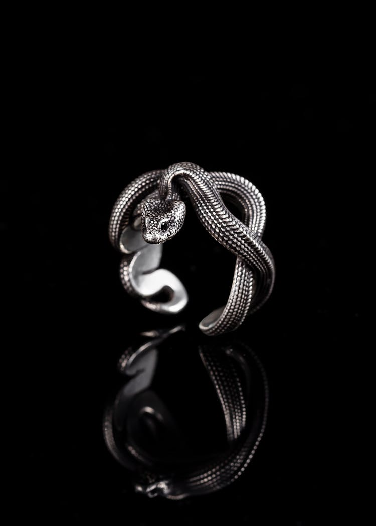 Snake Ring In Black Background 