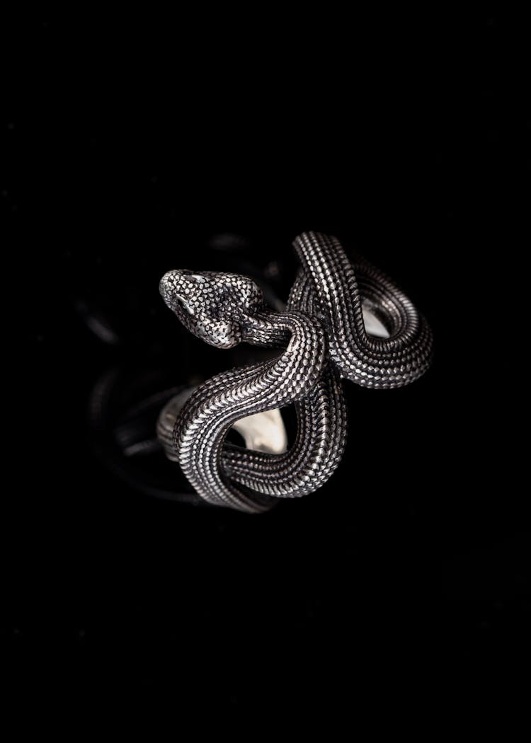 Silver Snake Ring