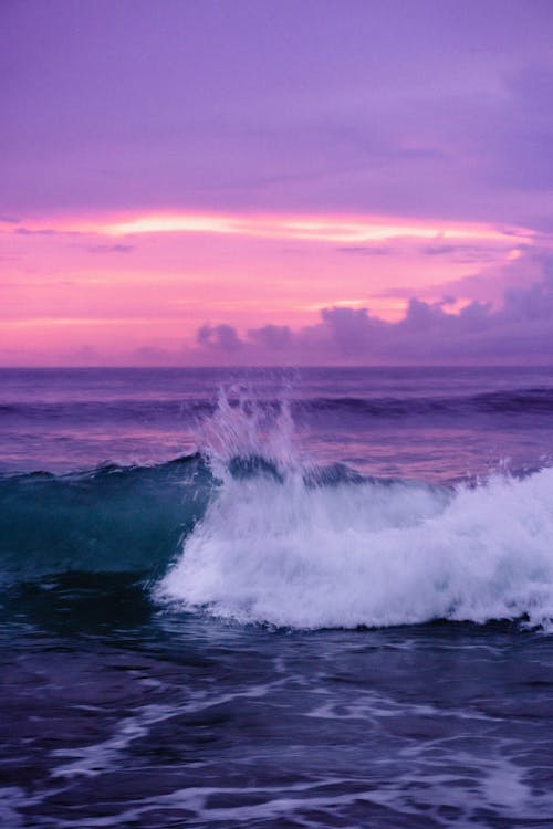 Foto profissional grátis de alvorecer, cair da noite, Hora dourada