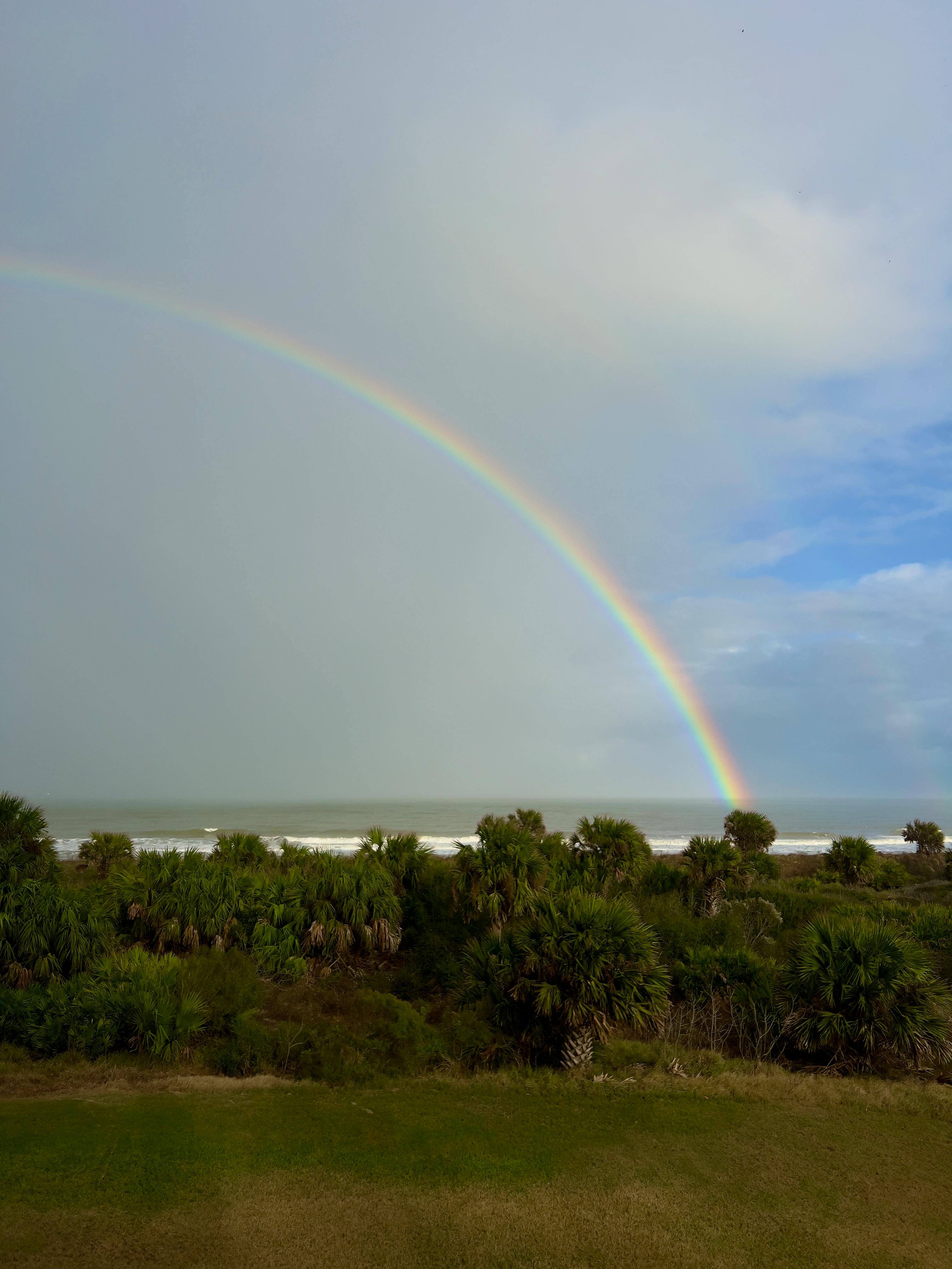 A stunning rainbow arcs over a lush tropical beach with ocean waves and palm trees.