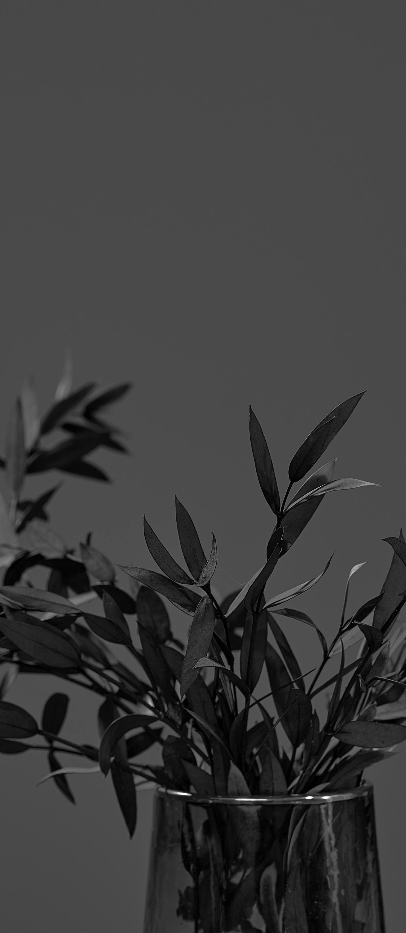 Gratis Fotos de stock gratuitas de aireado, arboles, arreglo de plantas Foto de stock