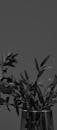 Branches with Leaves in Vase