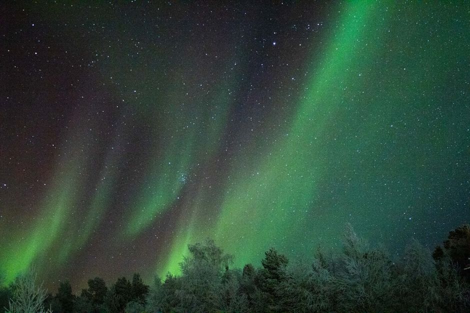 Marvel at the breathtaking northern lights illuminating the night sky above a winter forest.