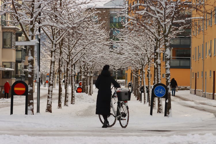 Woman Standing With A Bicycle In Winter