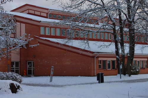 A Concrete Building Near the Bare Trees on a Snow Covered Ground