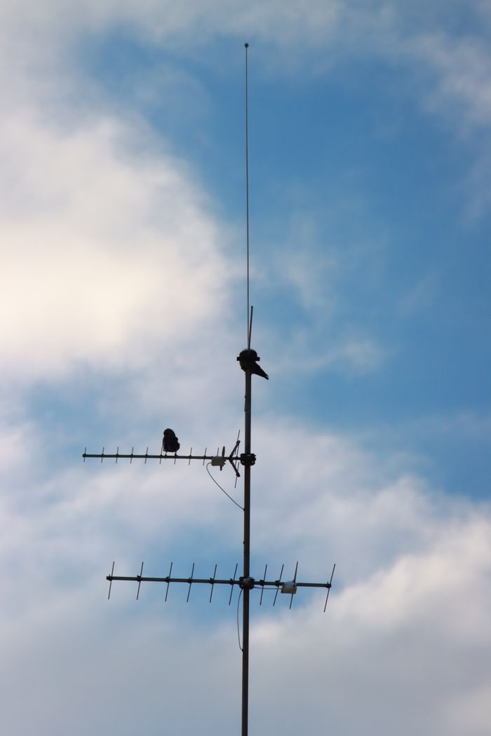 Yagi antenna against a blue sky