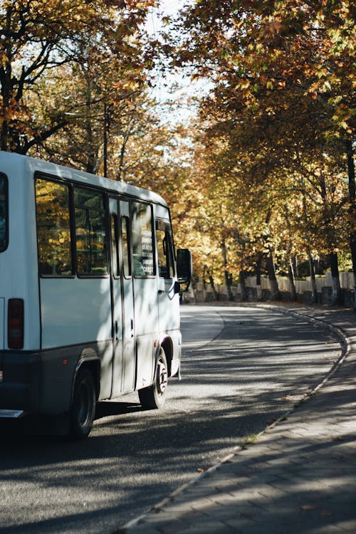 Darmowe zdjęcie z galerii z autobus, biały autobus, droga
