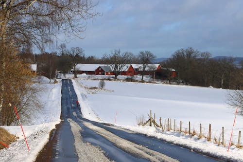 A Snow Covered Ground Near the Houses and Leafless Trees