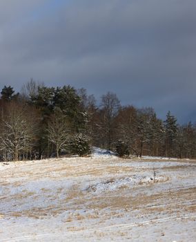 A serene winter landscape depicting a snowy field with bare trees under a cloudy sky.