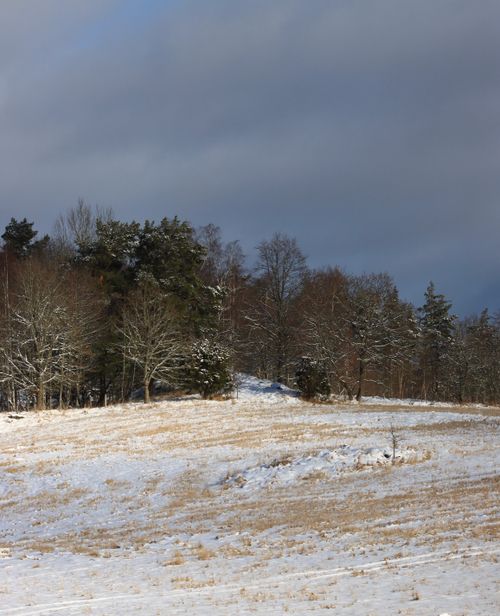 Free A serene winter landscape depicting a snowy field with bare trees under a cloudy sky. Stock Photo
