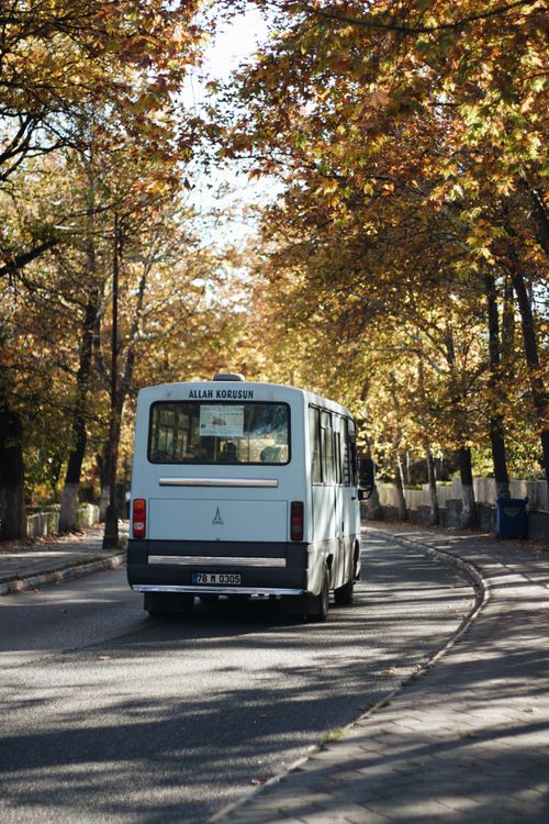 Free A lone bus traverses a scenic tree-lined road during the captivating fall season. Stock Photo