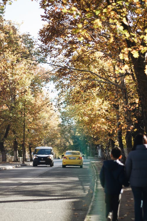 Photo of Cars and People on an Alley with Autumn Trees