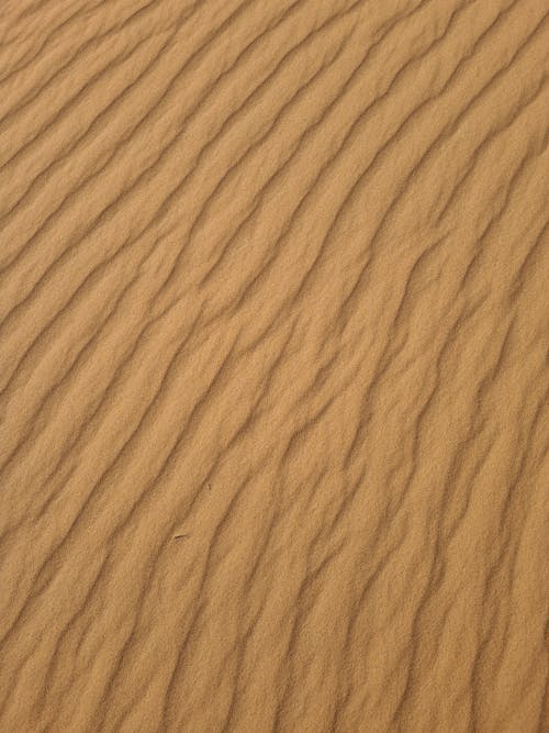 Close up of Sand Surface