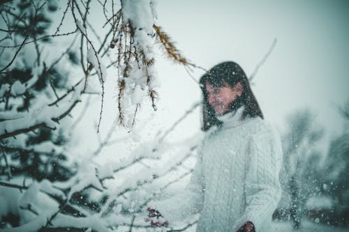 Woman Wearing Sweater in a Forest in Winter 