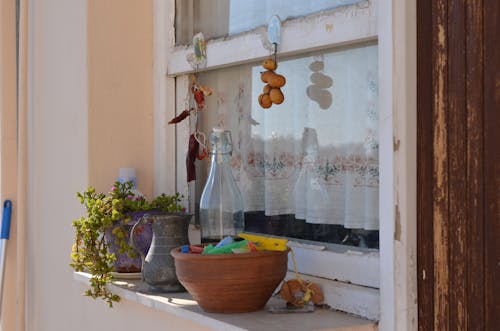 Eggs, Bowl and Plant on Windowsill