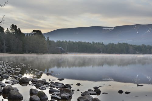 Photos gratuites de brouillard, cailloux, lac