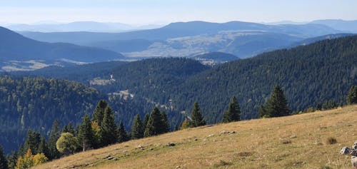 Безкоштовне стокове фото на тему «гори, зелені дерева, краєвид»