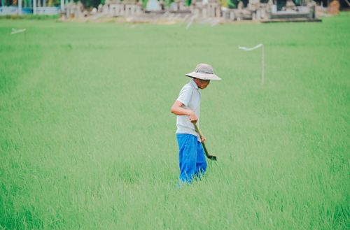 Free Man in casual clothes tending a green field, depicting rural lifestyle and agriculture. Stock Photo