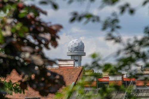 Kostenloses Stock Foto zu ast, aussicht, ball