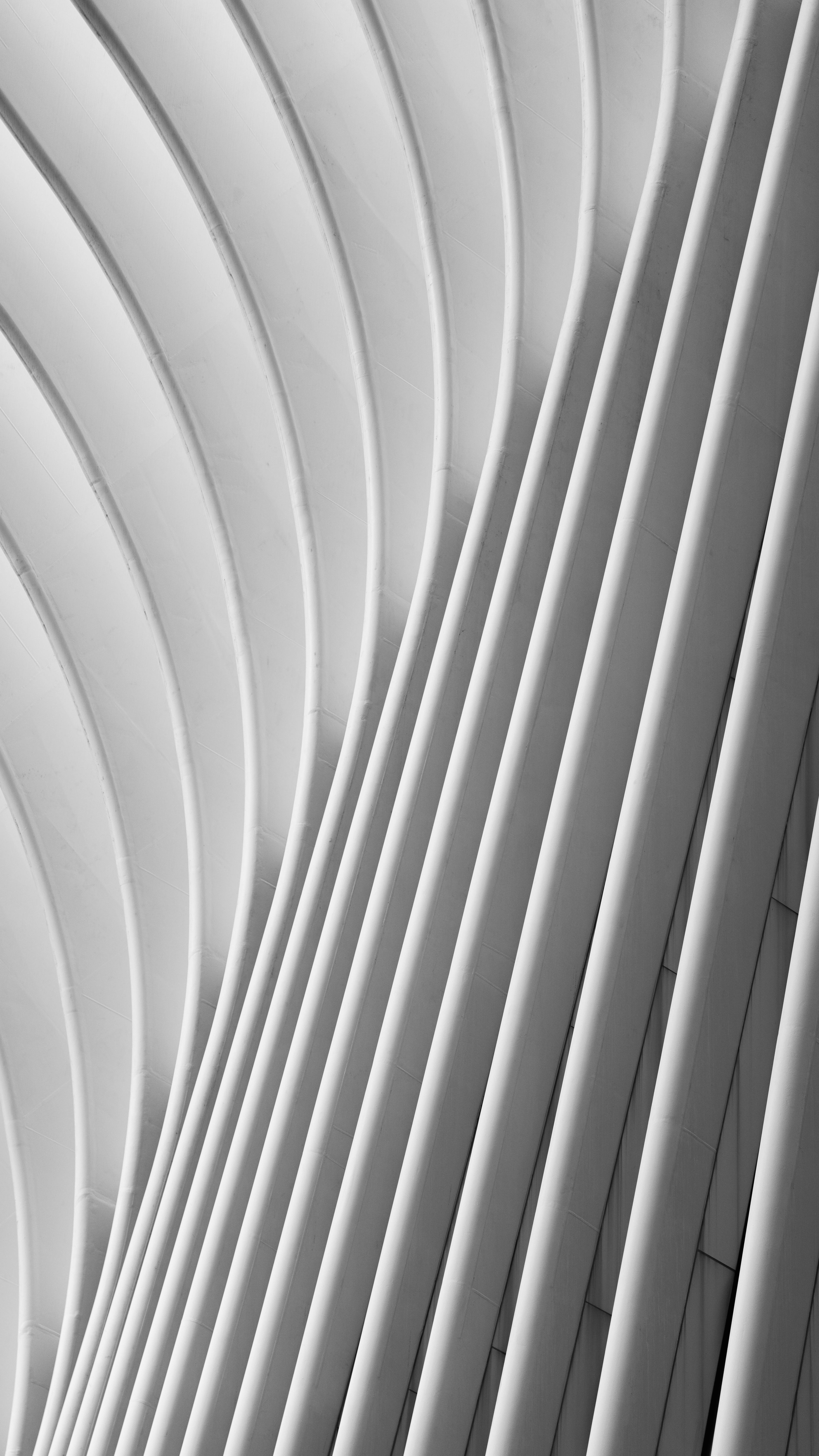 Abstract architectural design featuring curved stripes in a modern black and white composition.
