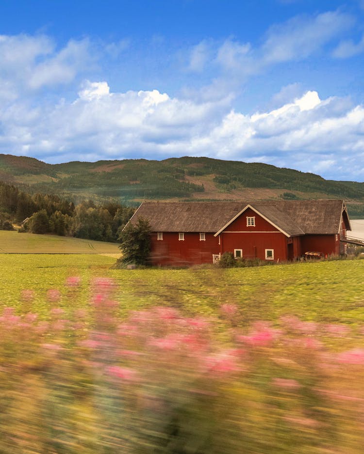 Norwegian House