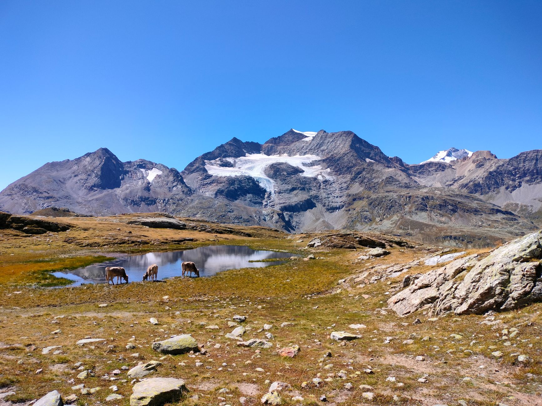 Camp résidentiel international