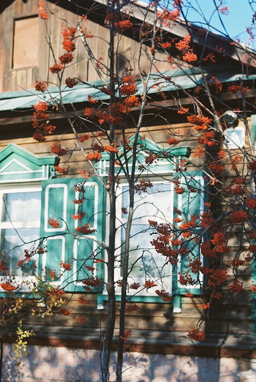 가을, 건축, 계절의 무료 스톡 사진