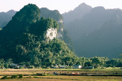 下田, 农地, 山丘 的 免费素材图片