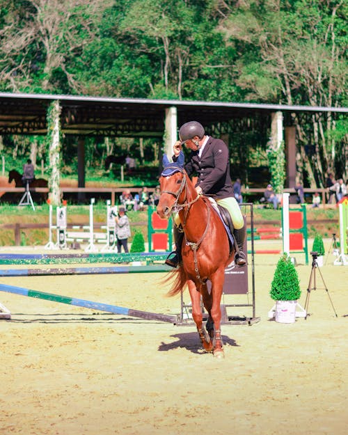 Δωρεάν στοκ φωτογραφιών με Αθλητισμός, άλογο, αναβάτης Φωτογραφία από στοκ φωτογραφιών