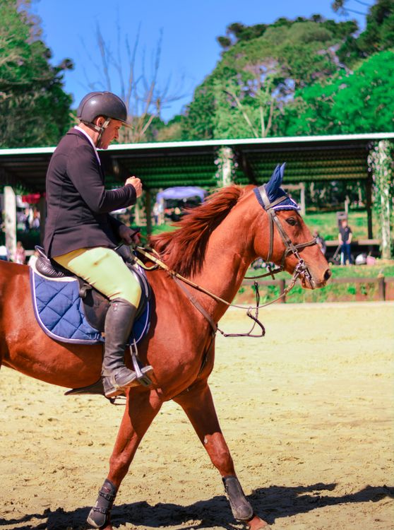 A Man Riding a Horse · Free Stock Photo