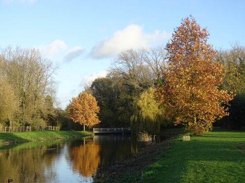 Free Peaceful autumn landscape with colorful trees by a serene river. Stock Photo