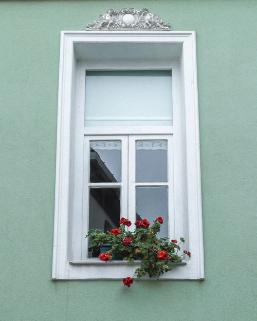 Free Vertical shot of a white-framed window adorned with red flowers against a soft green wall. Stock Photo