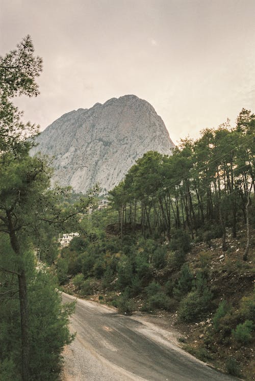 Foto d'estoc gratuïta de arbres, carretera, muntanya