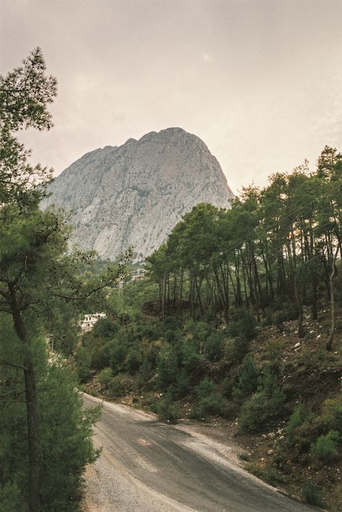 Free Majestic mountain road surrounded by dense forest under a calm sky, ideal for nature lovers. Stock Photo