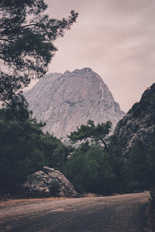 Foto d'estoc gratuïta de arbres, carretera, cel ennuvolat