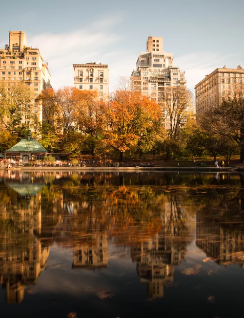 Beyond the Concrete Jungle: The Ultimate New York City Parks Guide