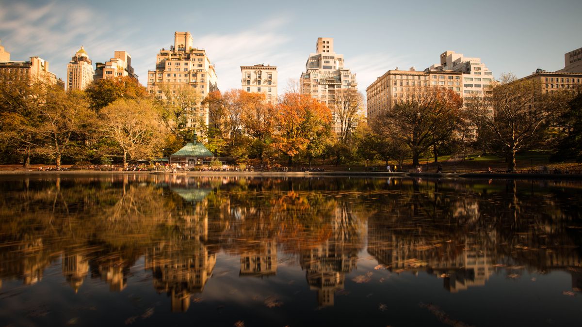Central Park in autumn — 843 acres of Olmsted and Vaux's 1870s design, and one of the finest urban spaces on Earth.