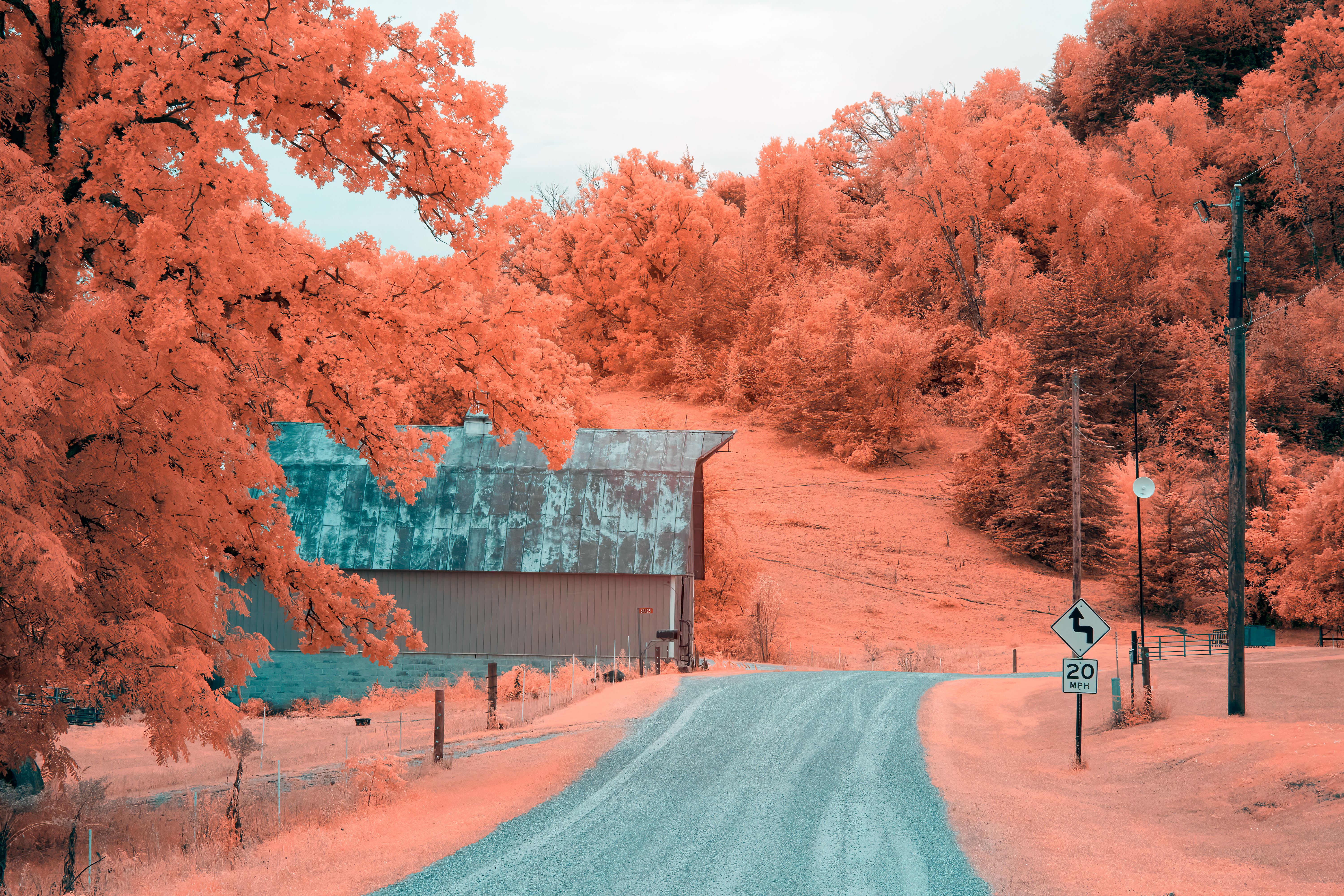 Ohio is poised to revamp its K-12 math education. Here's what could change — Photo by Tom Fisk on Pexels