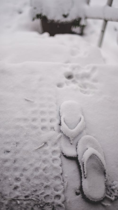 Flips-Flops Covered with Snow