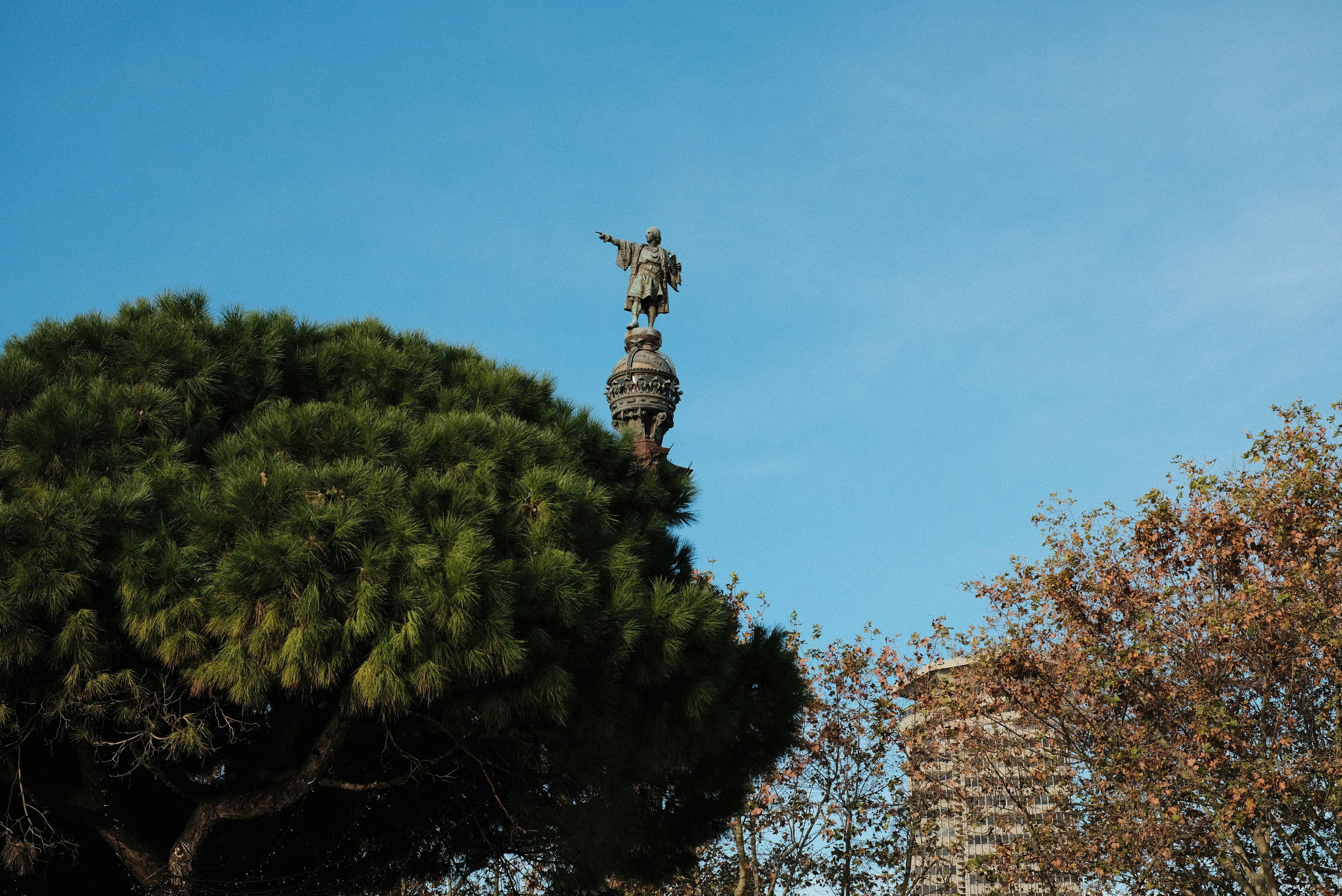 César