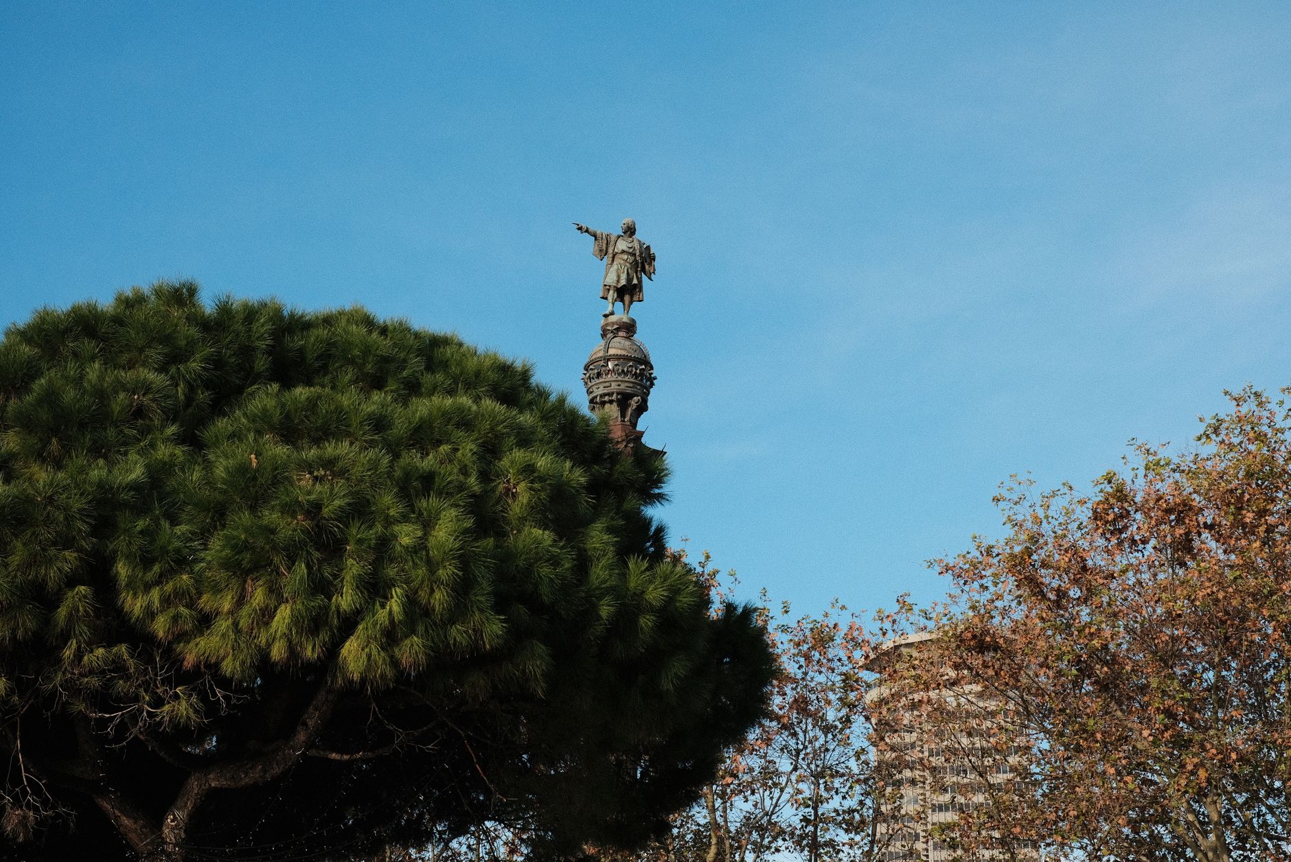 César