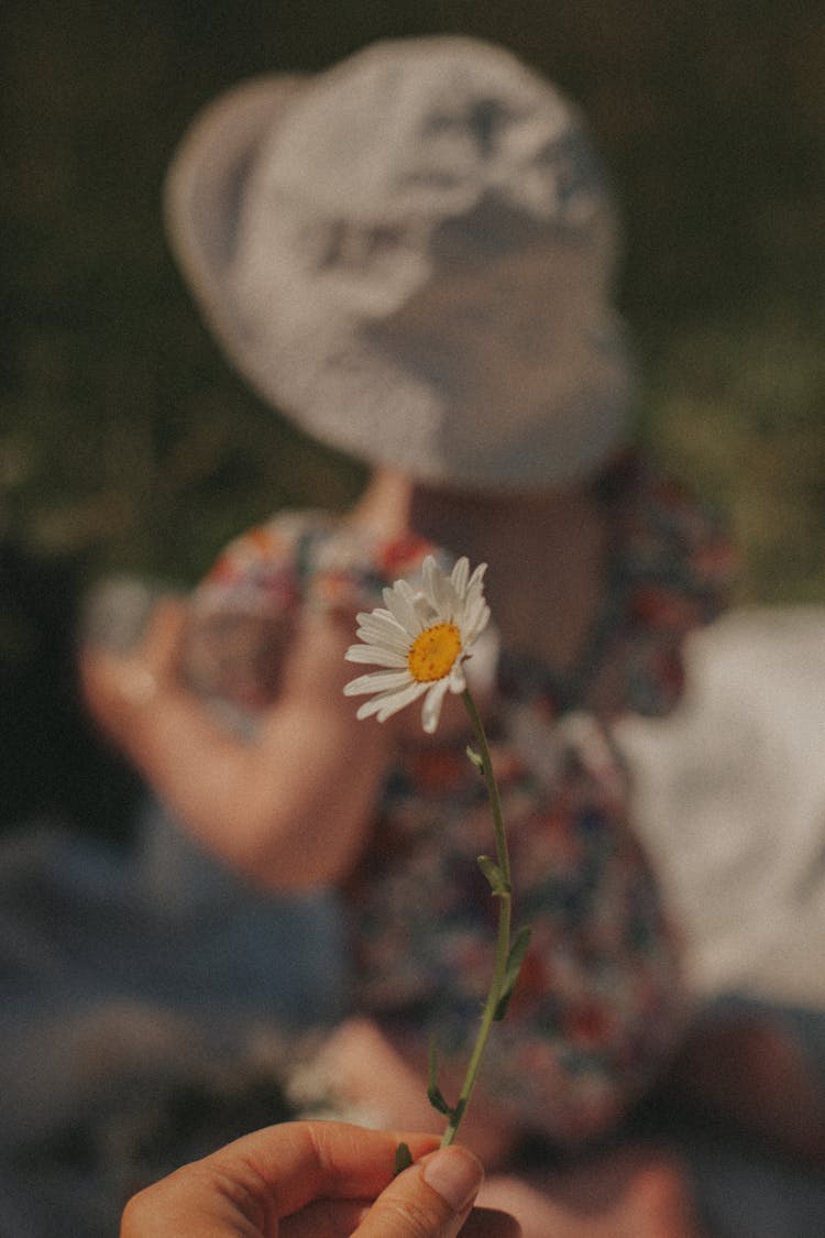 Cute Daisy Against Child