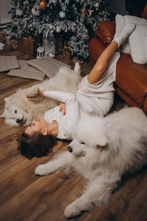 Free Boy Lying Down on Floor with Dogs Stock Photo
