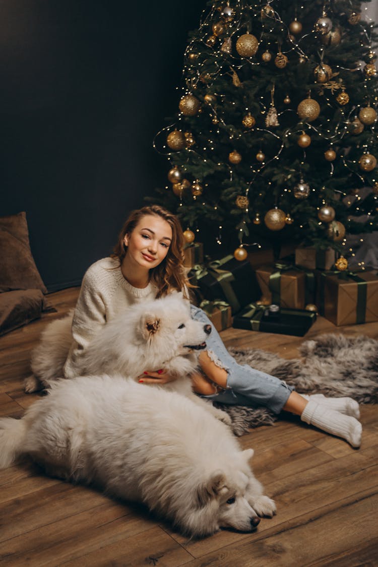 Woman Posing With Dogs Near Christmas Tree